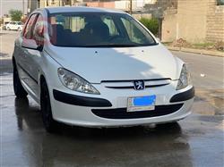 بیجۆ 307